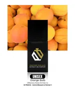 Orange Bulb by Perfume Parlour