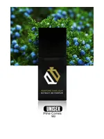 Pine Cones by Perfume Parlour