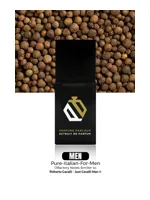 Pure Italian For Men by Perfume Parlour