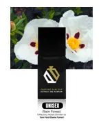 Rain Forest by Perfume Parlour
