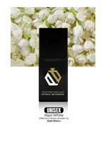 Rays White by Perfume Parlour