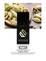 Scandal Essence For Women by Perfume Parlour