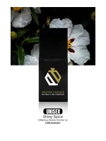 Shiny Spice by Perfume Parlour