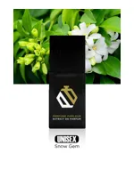 Snow Gem by Perfume Parlour