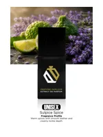 Sulpice Spice by Perfume Parlour