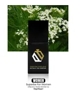 Superbe For Women by Perfume Parlour