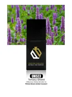 Tertiary Shield by Perfume Parlour