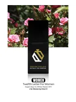 Twelfth Letter For Women by Perfume Parlour