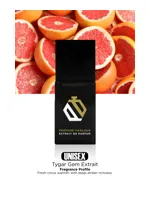 Tygar Gem by Perfume Parlour