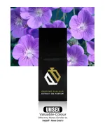 Valuable Colour by Perfume Parlour
