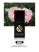 Vast Area by Perfume Parlour