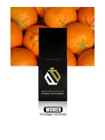 Vintage Intrinsic by Perfume Parlour