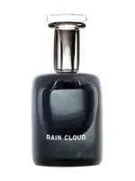 Rain Cloud by Perfumer H