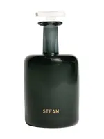 Steam by Perfumer H