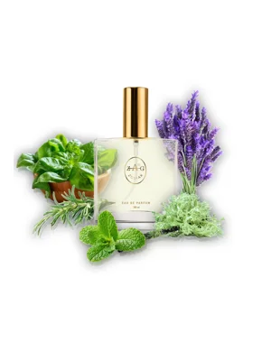 266 Tom Ford Beau de Jour Eau de Parfum bottle