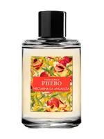 Nectarina da Andaluzia by Phebo