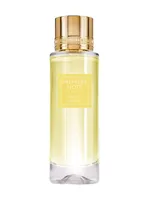 Mimosa Austral by Première Note