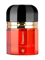 Flamenco by Ramon Monegal