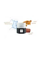 Niche 2 by Reef Perfumes