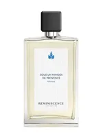 Sous un Mimosa de Provence by Réminiscence
