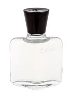 Capucci Pour Homme by Roberto Capucci