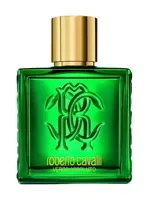 Roberto Cavalli Uomo Verde Assoluto by Roberto Cavalli