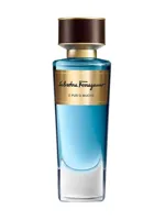 E Pur Si Muove by Salvatore Ferragamo