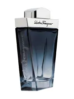 Subtil Pour Homme by Salvatore Ferragamo