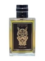 Fortuna by Sapientiae Niche