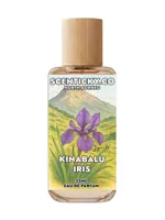 Kinabalu Iris by SCENTICKY.CO