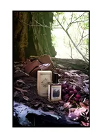 Black Forest by Solstice Scents