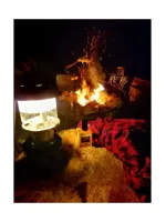 Camp Willow by Solstice Scents