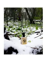 Snowmint Mallow by Solstice Scents