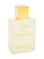 Contemplation by Spiritum