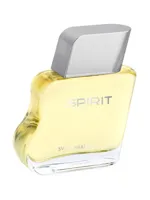 Spirit by Swiss Arabian