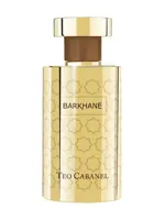 Barkhane by Téo Cabanel