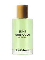 Je Ne Sais Quoi by Téo Cabanel