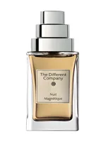 Une Nuit Magnetique by The Different Company