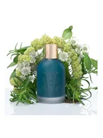 Calypso by The Saltworks Company