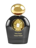 Hale Bopp by Tiziana Terenzi
