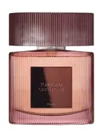 Café Rose (2023) by Tom Ford