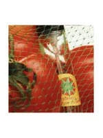 TOMATO by TSU LANGE YOR