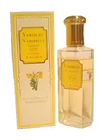 Narcissus by Yardley London