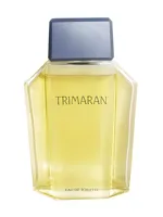 Trimaran 1986 by Yves Rocher