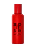 002 Sense Of Glam by Zara