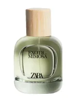 Exotic Mimosa by Zara