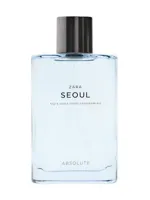 Seoul Absolute by Zara