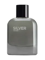 Silver by Zara